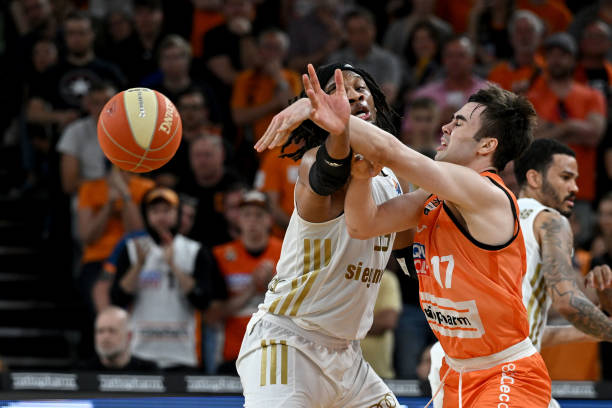 体马的顽强 体马的顽强